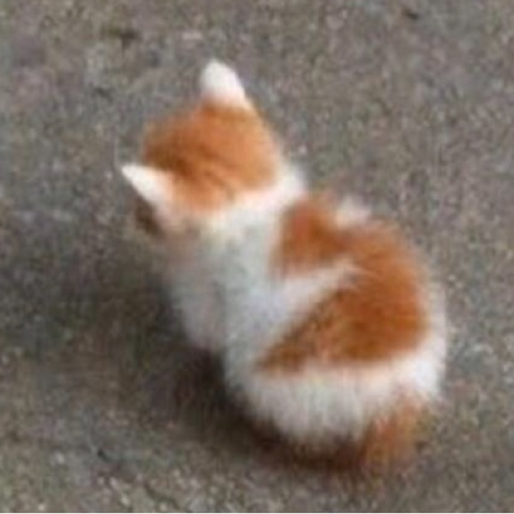 Meet your Posher, Brianna